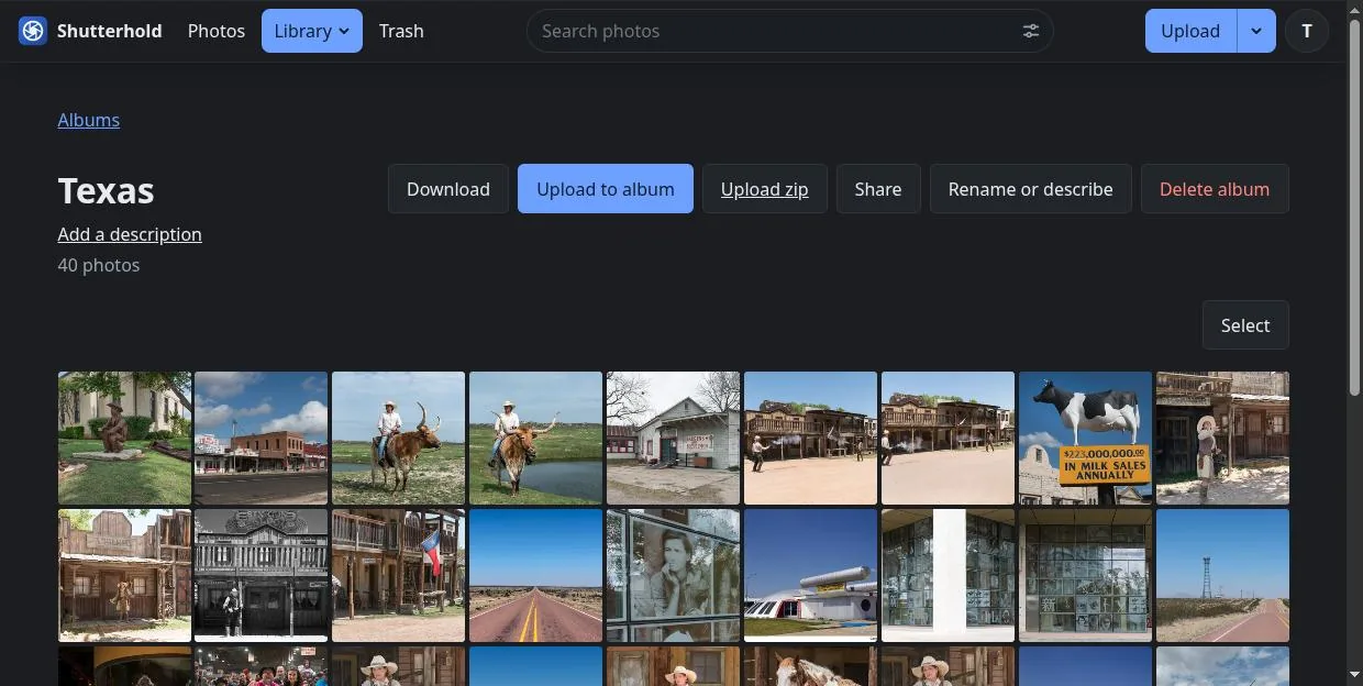 An album open: its name, the actions Download, Upload to album, Upload zip, Share, Rename or describe, and the photos in it