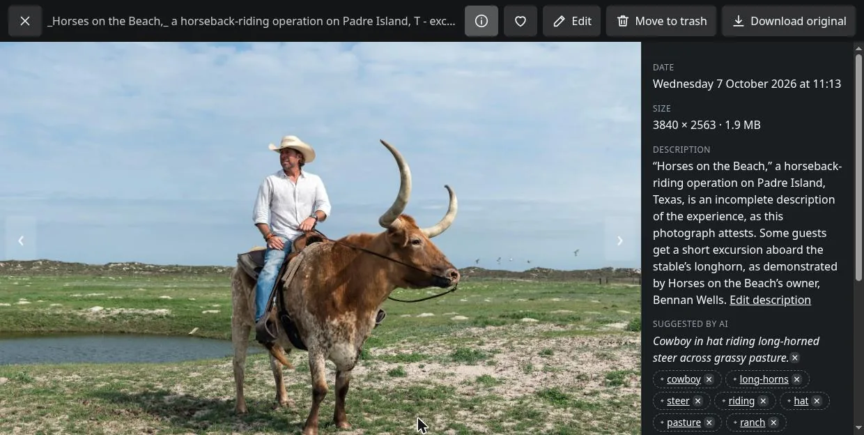 A photo open in the viewer with its details panel: when and where it was taken, the camera, and its albums